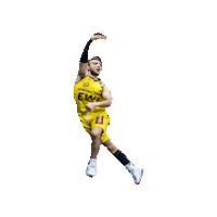 Ewe Baskets Sticker by EWE Baskets Oldenburg