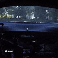 Paraguay Dashcam GIF by FIA World Rally Championship