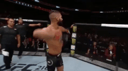 jeremy stephens ufc GIF