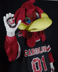 Wave Hello GIF by University of South Carolina