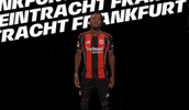 Lets Go Bundesliga GIF by Eintracht Frankfurt