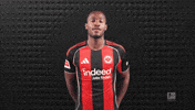 Eintracht Frankfurt No GIF by Bundesliga