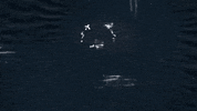 Dance Animation GIF by Anna B Savage