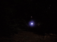 Season 2 Episode 22 GIF by Twin Peaks on Showtime