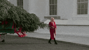 Democratic Party Hello GIF by The Democrats