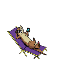 peace paz Sticker by Veek