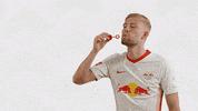 Happy Birthday Football GIF by RB Leipzig