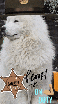 Work Working GIF