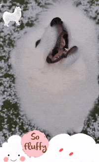 Cloud Benji GIF