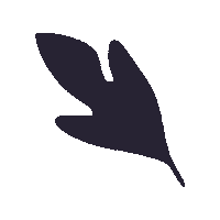 apolondon purple leaf shape apo Sticker