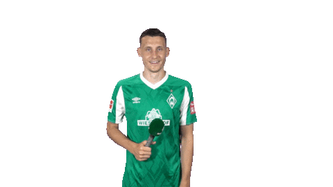 Maximilian Eggestein Bundesliga Sticker by SV Werder Bremen