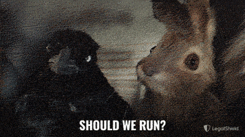 LegalShield run hide caught guilty GIF