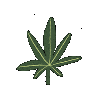 Party Smoking Sticker by Midwest House