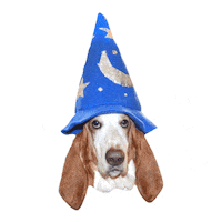 Full Moon Astrology Sticker