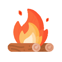 LasEstacas_ParqueNatural travel trip camping fuego Sticker