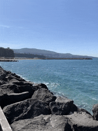 aboutsorrento travel sea italy meta GIF