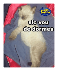 Sono Boa Noite Sticker by Sou Eu Na Vida