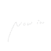 Newin Sticker