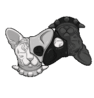 Duality Sphynxcat Sticker