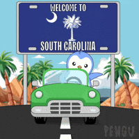 Driving South Carolina GIF by Pudgy Penguins