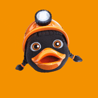 Wink Duck GIF by Salzwelten