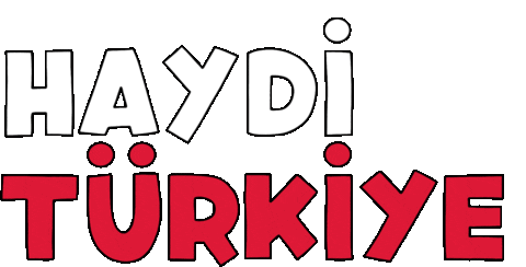 Turkiye Sticker by TMOK
