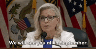 Liz Cheney September GIF by GIPHY News