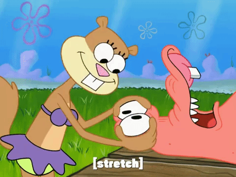 season 8 episode 20 GIF by SpongeBob SquarePants