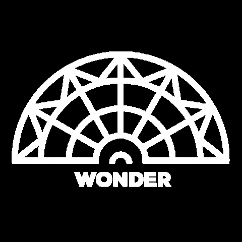 WonderWheelCreative giphygifmaker wonder wheel wonderwheel GIF