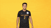 Sport Calstatela GIF by Cal State LA Golden Eagles
