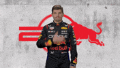 Ver Red Bull GIF by Oracle Red Bull Racing