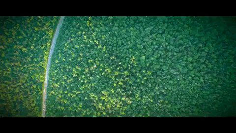 new hampshire GIF