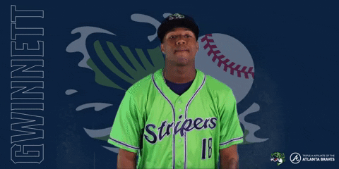 double a acuna jr. GIF by Gwinnett Stripers
