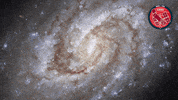 Stars Universe GIF by ESA/Hubble Space Telescope