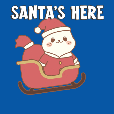 Flying Christmas Eve GIF by Sappy Seals