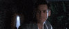 Jim Carrey GIF