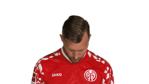 Look Up Mainz 05 Sticker by Bundesliga