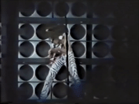 Van Halen GIF