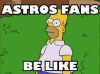 Be Like Houston Baseball GIF by Respective