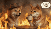 This Is Fine GIF by DogeGF