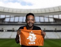 Goal Against Netherlands 