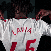 Premier League Football GIF by Southampton FC