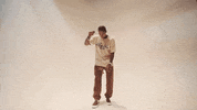 Skateboard Dgk GIF by Sweets Kendamas