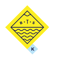 Bts Sticker by Beyond the Standard