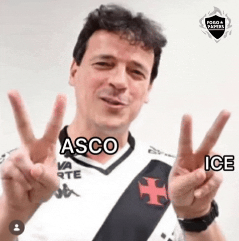 Vasco Da Gama Futebol GIF