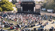 gippslandcountrymusicfest country music cowboy live music music festival GIF