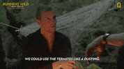 Nat Geo Cooking GIF by National Geographic Channel