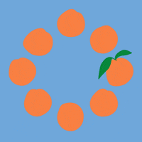 Orange Fruit GIF