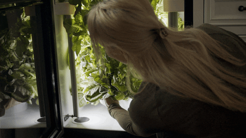 GroPod giphyupload GIF