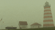 Wes Anderson Lighthouse GIF by The Good Films